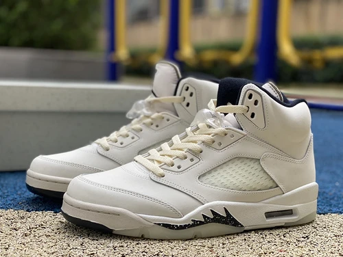 Air Jordan 5 SE "Sail" FN7405-100