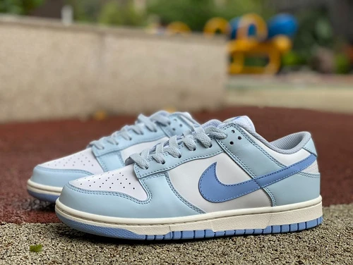 Nike Dunk Low Blue White DD1873-400