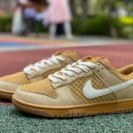 Nike Dunk Low Brown FZ4041-744