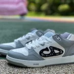 Dior B57 Grey White