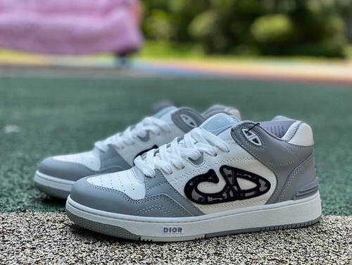 Dior B57 Grey White