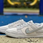 Nike Dunk x The North Face Grey DQ1098-338