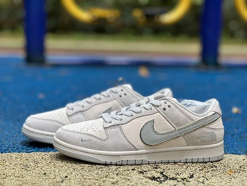 Nike Dunk x The North Face Grey DQ1098-338