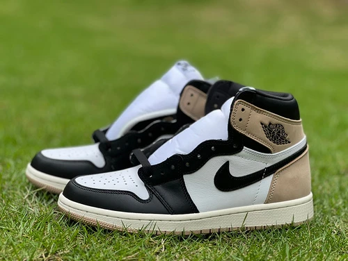 Air Jordan 1 High OG Brown Black White Sneakers FD2596-021