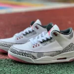 Air Jordan 3 "Wings" Floral Theme HM6993-100