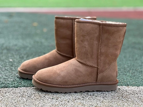 UGG Brown High-Top