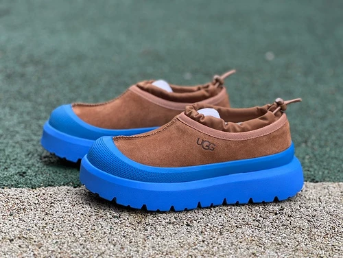 UGG Blue Brown Low-Top