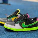 Nike Dunk Low "What The Ducks" Multicolor HV1454-001