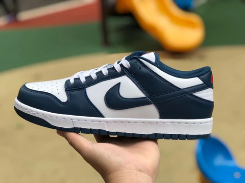 Nike Dunk Low Retro "Valerian Blue" White Navy DD1391-400