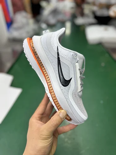 Nike Pegasus Premium Full-Length Air Cushion Running Shoes Men HQ2592-002/Women HQ2593-001