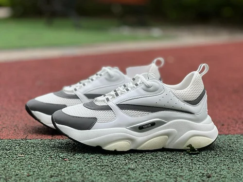 DIOR B22 Mesh White Grey