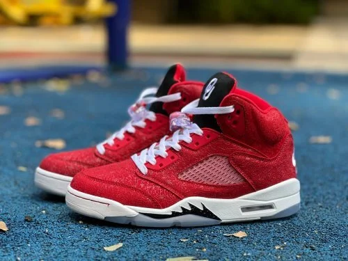 AJ5 白红运动鞋 HQ7978-600