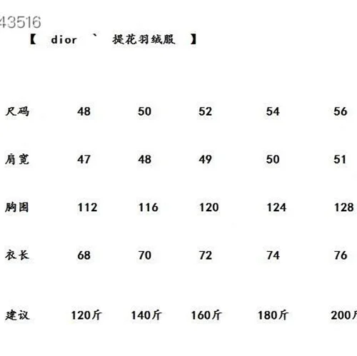 Dior 羽绒服奢华男士保暖夹克 46-52